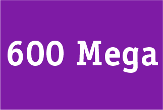 Plano de Internet 600 Mega - Vivo Fibra Velocidade 600 Mega - Ecotelecom - Vivo Empresas